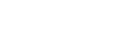 logo light